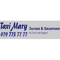 A-Z Taxi Mary-Logo