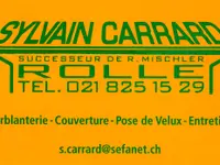 Carrard Sylvain – Cliquez pour agrandir l’image 5 dans une Lightbox