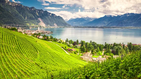 Campingplätze in Waadt