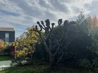 Alpes Jardins Tirozzini Paysagiste