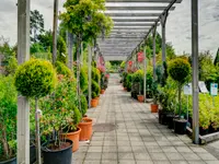 Burnier Garden Centre de Lavaux