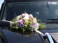 Blumen Specker