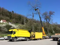 Gebrüder Straumann AG