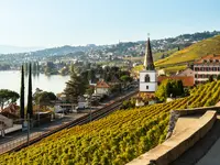 Caveau Ponnaz & Fils - Klicken Sie, um das Bild 1 in einer Lightbox vergrössert darzustellen