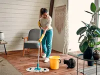 Ecofox Clean Home Services