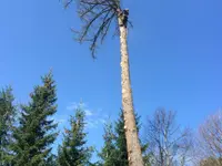 Pousaz SA