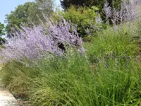 Royal Jardin sarl - Klicken Sie, um das Bild 3 in einer Lightbox vergrössert darzustellen