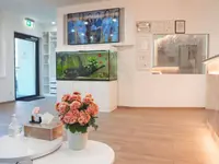 White Lotus Beauty GmbH