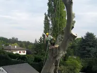 ABDF Bonadei & Chassot - Klicken Sie, um das Bild 4 in einer Lightbox vergrössert darzustellen