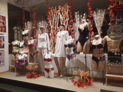 Model Hooker in La Chaux-de-Fonds