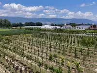 Pépinières Meylan SA