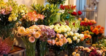 Blumen Röthlin