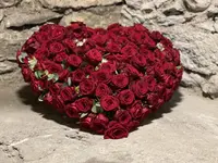 Blumen Candinas / Fluras Candinas