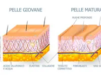 Studio di Medicina Estetica Dr. Med. Monique Wortelboer – Cliquez pour agrandir l’image 3 dans une Lightbox