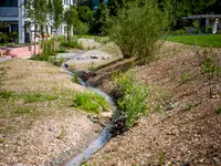 Grolimund Gartenbau AG - Klicken Sie, um das Bild 9 in einer Lightbox vergrössert darzustellen