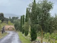oleowine & Art