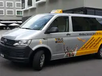 Taxi 2000