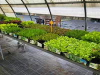 GIARDINI DOS SANTOS CANIÇO