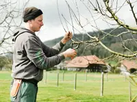 Immergrün Gartenbau GmbH - Klicken Sie, um das Bild 2 in einer Lightbox vergrössert darzustellen