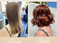 SD Coiffure