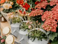 Florium GmbH