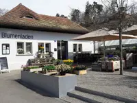 Bluemerei GmbH - Klicken Sie, um das Bild 6 in einer Lightbox vergrössert darzustellen