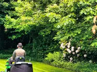OMID Paysage - Arboriste Lausanne et environs