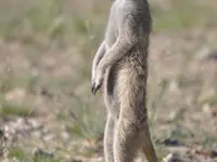 A + M Africa Tours GmbH