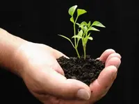 z'graggen gartenbau - Klicken Sie, um das Bild 1 in einer Lightbox vergrössert darzustellen