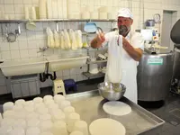 Caseificio Töira