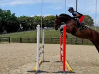 Passion Equestre - Klicken Sie, um das Bild 3 in einer Lightbox vergrössert darzustellen