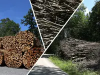 Holzenergie Schweiz