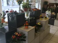Blumen Zweerus