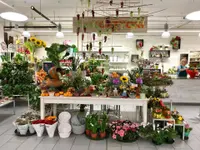 Fiori Cattori c/o Mercato Cattori