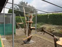 V.I.Pets Gossau