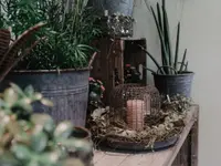 Blumen Pasadena