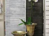 Design Flowers
