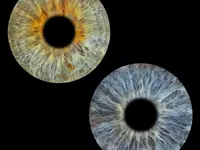 You & Eye Photo Montreux