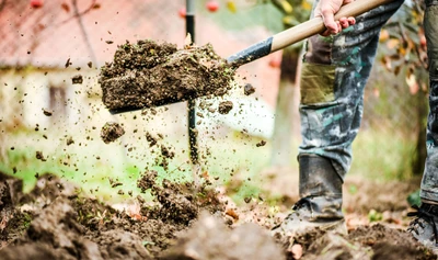 Brändli Gartenbau