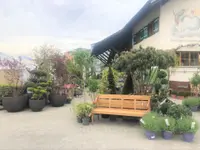 AUHOF Pflanzen Garten Blumen