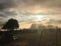 Douceur d'Ebène - Klicken Sie, um das Bild 15 in einer Lightbox vergrössert darzustellen