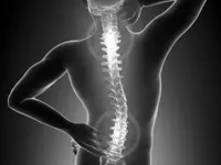 Physiotherapie Hans Jansen