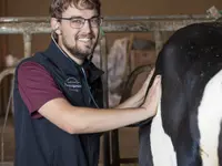 Tierarztpraxis Scherliau