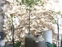 Les Fleuridées