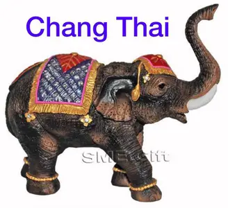 Chang Thai Massage Vevey