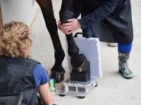 Equine Sports Medicine Services GmbH