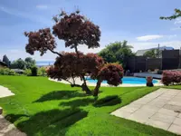 MY Jardin Sàrl
