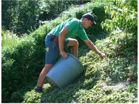 Häusermann Gartenbau AG