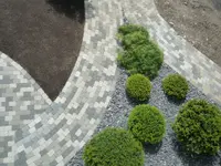 Arifi Gartenbau GmbH