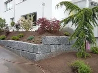Moser Service rund um Haus & Garten Gmbh